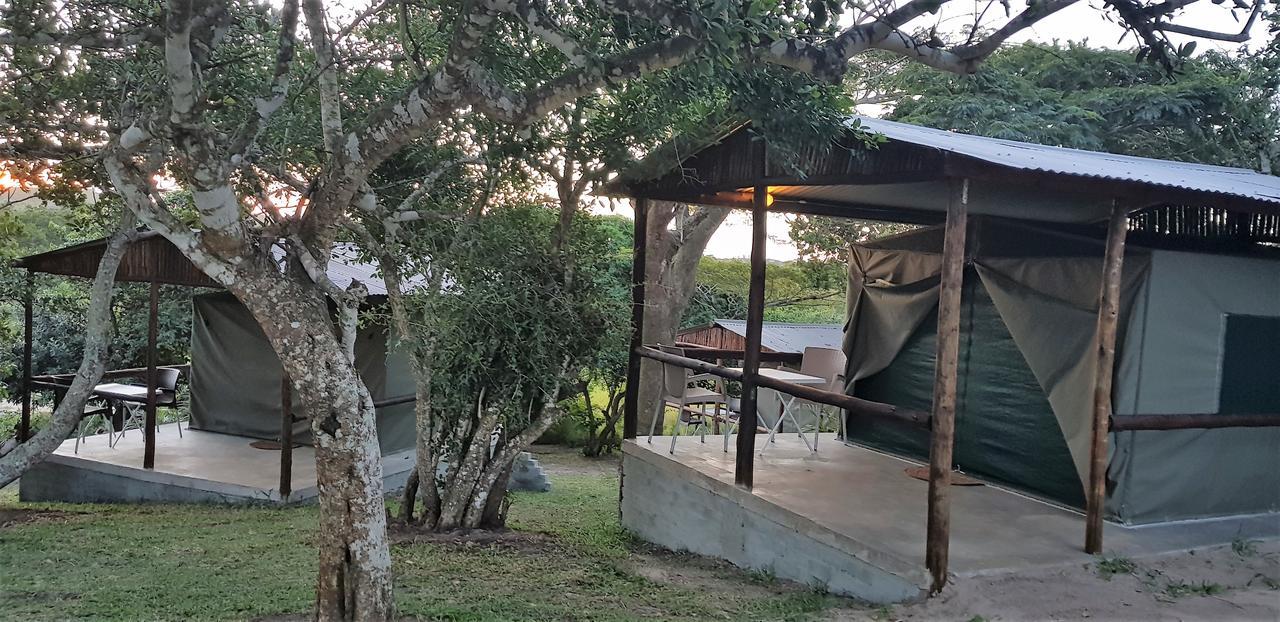 Kingfisher Bush Lodge *
