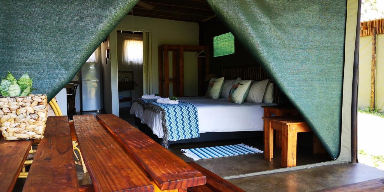 Lodge Kingfisher Bush *